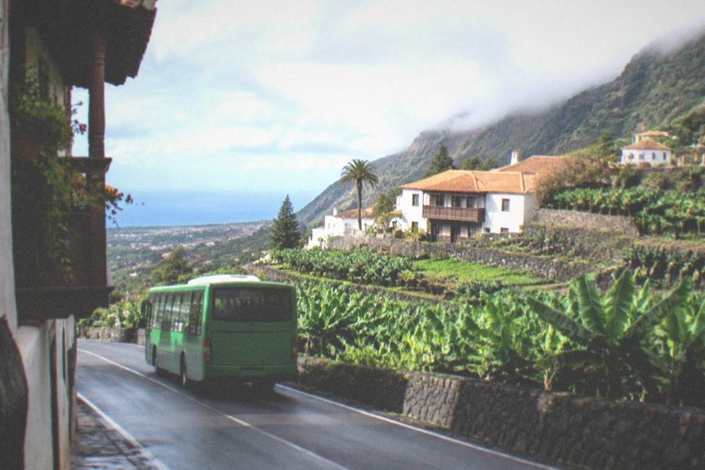 A green island bus on a coastal road with vineyard slopes behind
