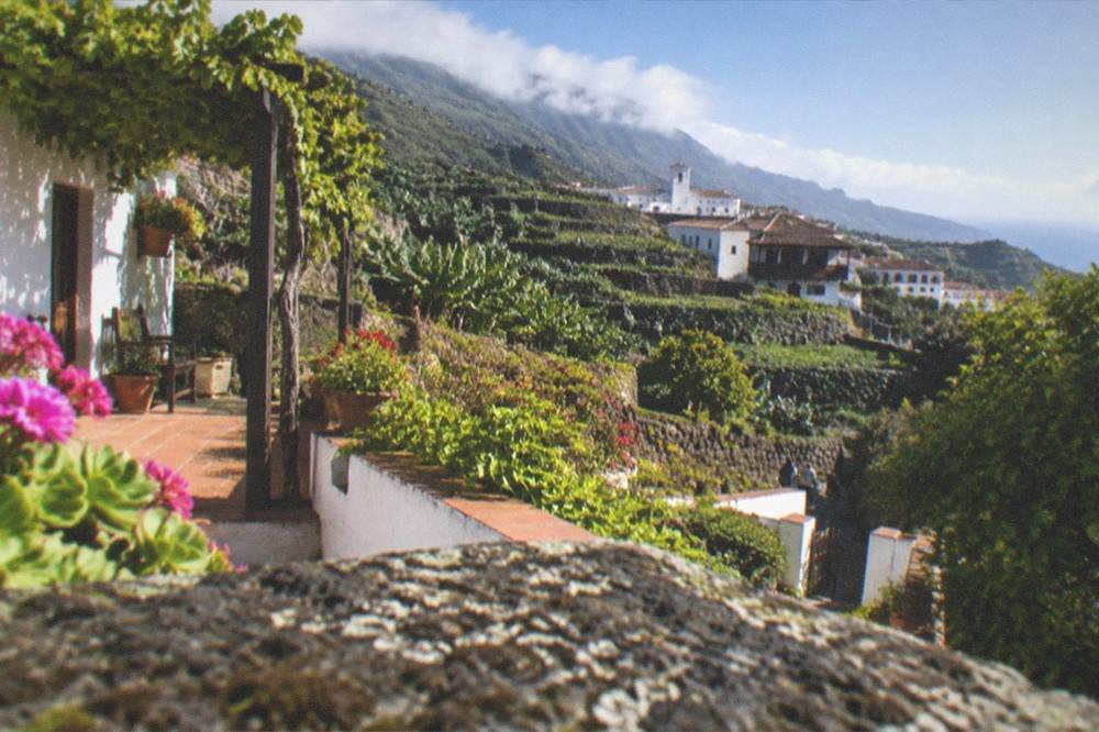 A white Canarian rural house with a tiled patio surrounded by gardens and vines