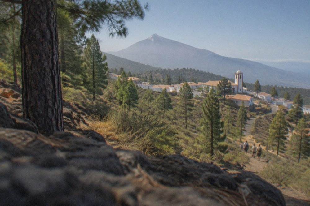 A stone church tower rising above low white buildings in a mountain village surrounded by pine forest