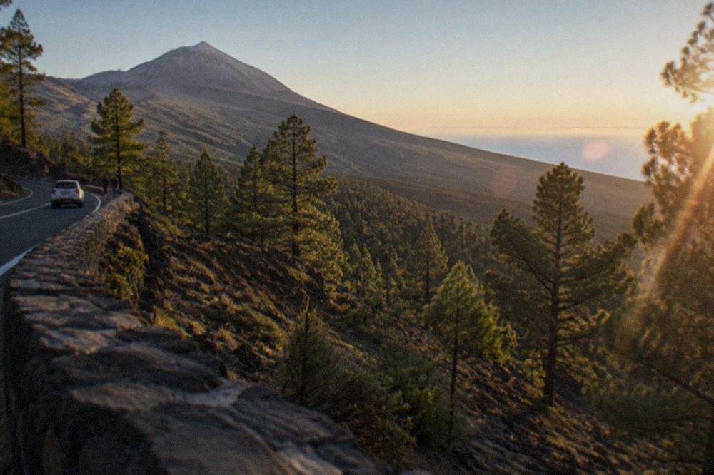A volcanic cone and pine forest slopes seen from a high mountain road in southern Tenerife