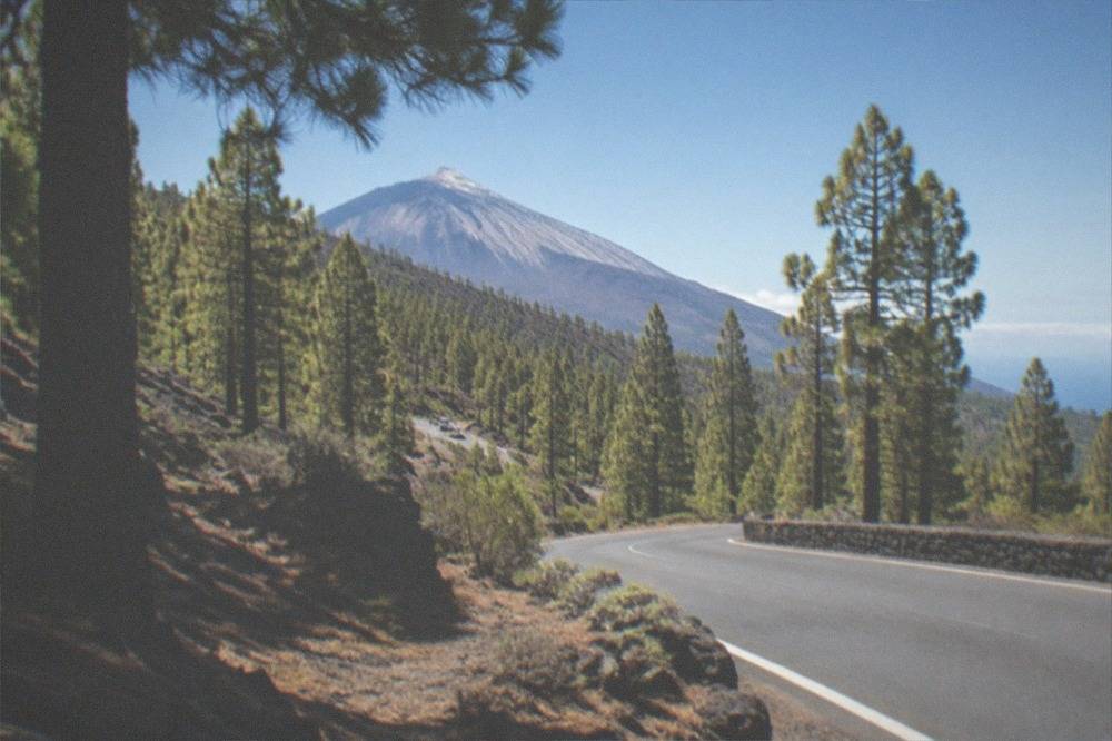 A winding mountain road climbing through Canary pine forest towards a volcanic peak