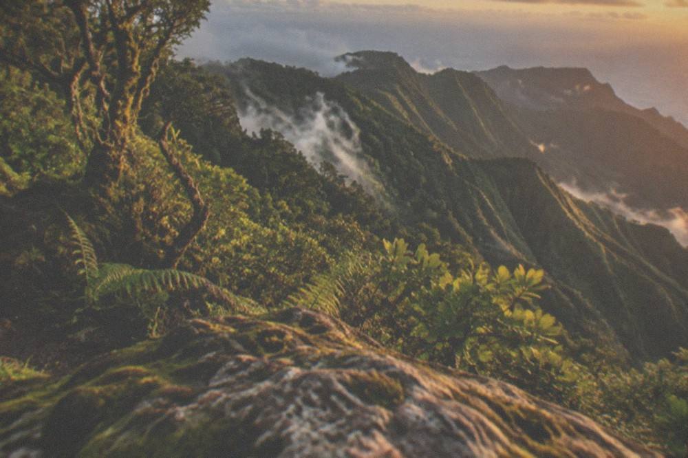 Green ridges of the Anaga massif seen from a high viewpoint with the sea beyond