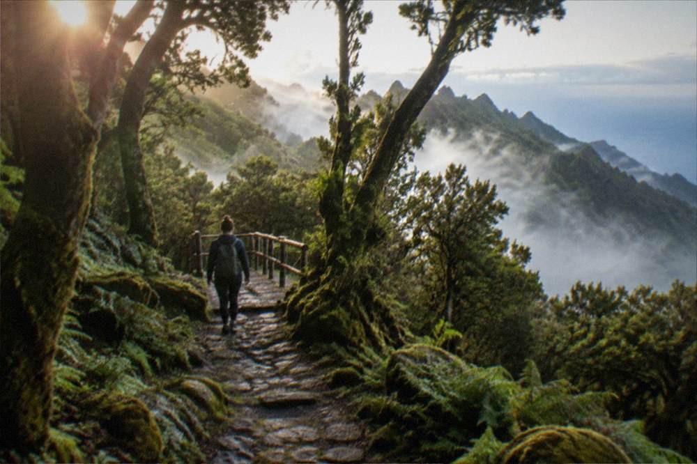 A walker on a stone path through mossy forest toward a wooden trail sign