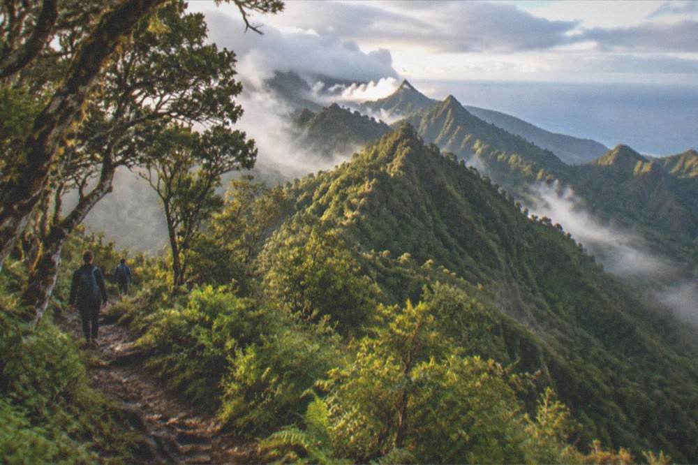 Sunlight breaking through cloud onto green forest ridges above the Atlantic