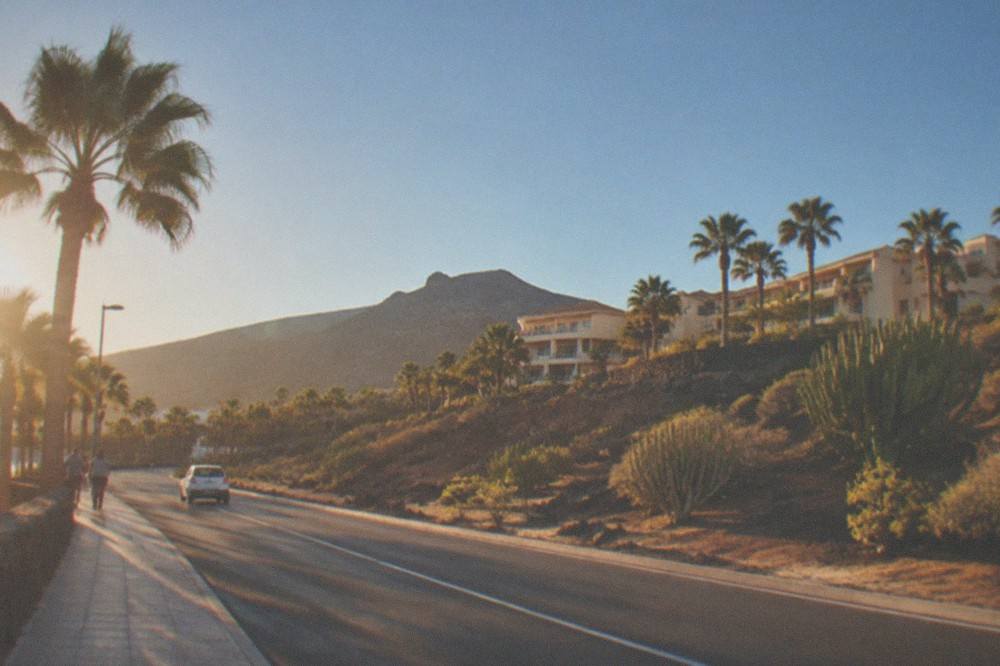 A coastal road with palm trees and resort buildings under clear skies in southern Tenerife