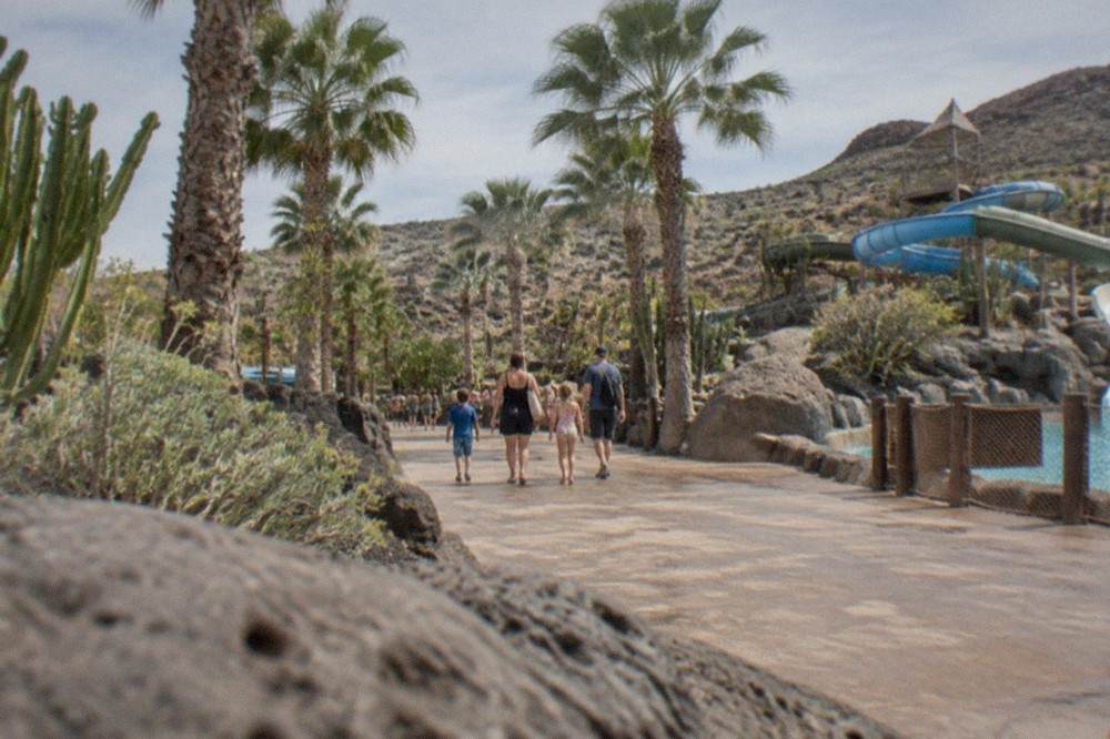 Families walking along a paved path between palm trees at a Tenerife water park