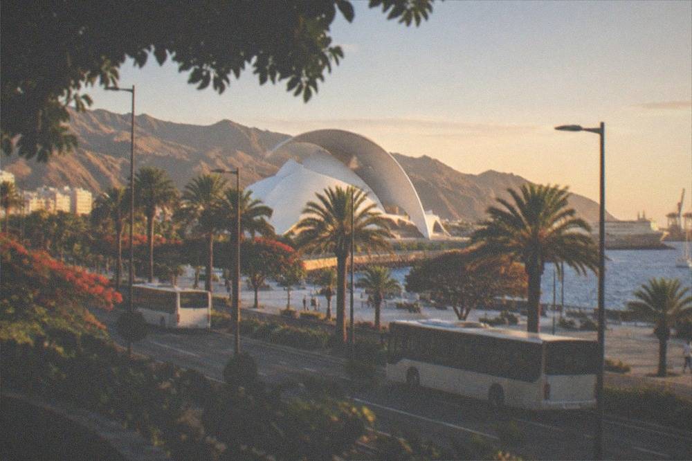 Buses and palm trees on the seafront avenue near the Auditorio