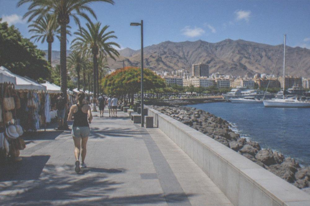 Palm-lined promenade and market stalls in Santa Cruz