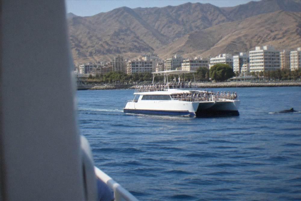 A whale-watching catamaran on calm water off the Tenerife coast