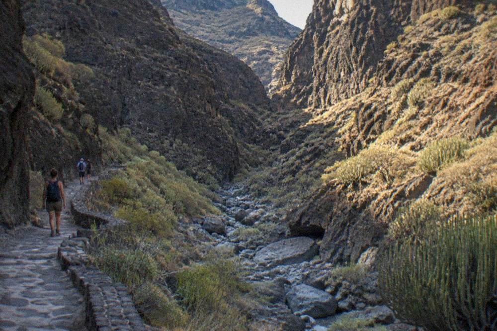 A stone path beside a dry streambed with tall canyon walls above