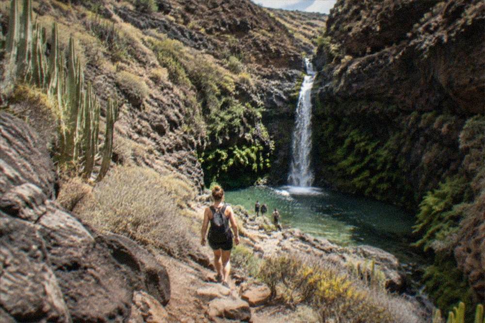 A waterfall dropping into a green pool surrounded by ferns at the end of a gorge
