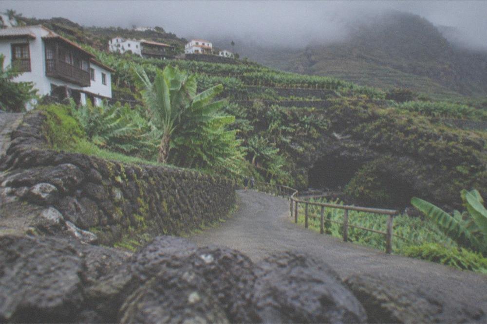 A country lane climbing through green banana terraces on a hillside above a lava tube entrance