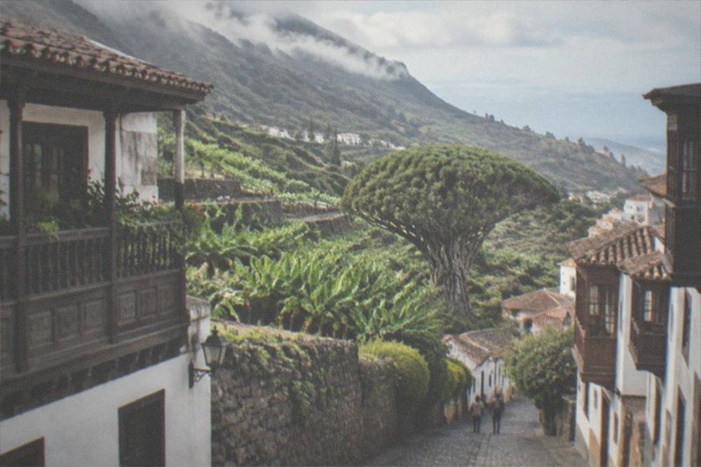 A narrow cobbled street in a Canarian town with old balconied houses, leading towards a large green tree crown