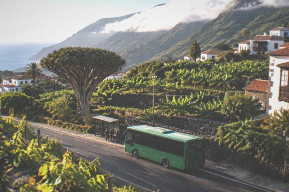A green island bus at a small town stop on a road lined with vines