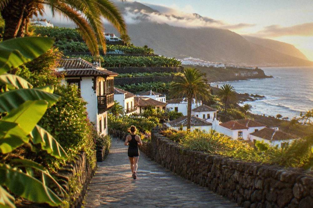 Palm fronds and broad leaves catching morning light on a garden path in Puerto de la Cruz