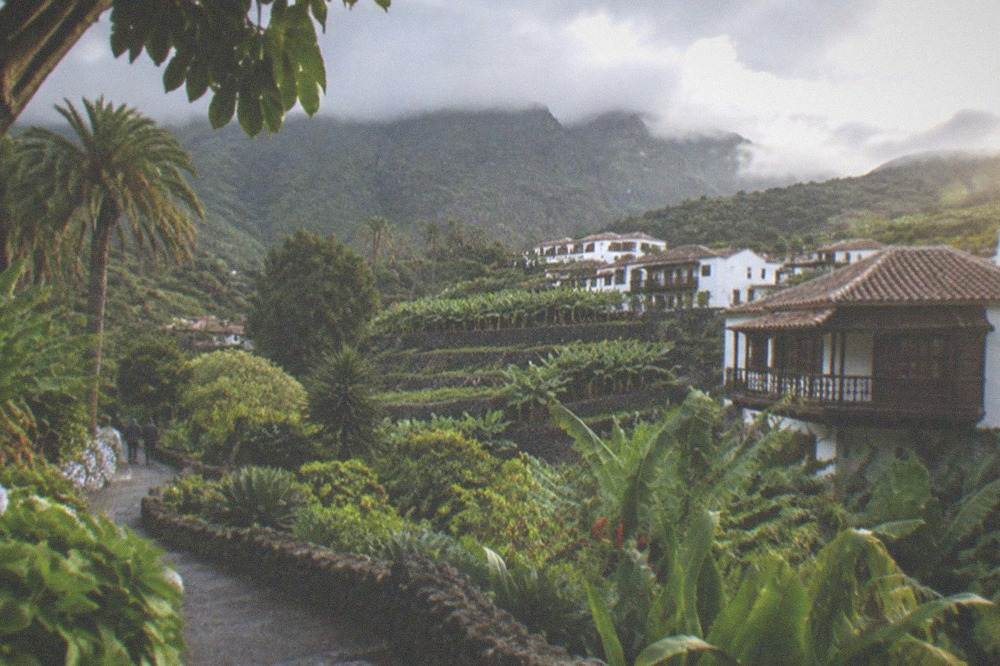 Tropical planting and a stone-edged path in a botanical garden on a cloudy day