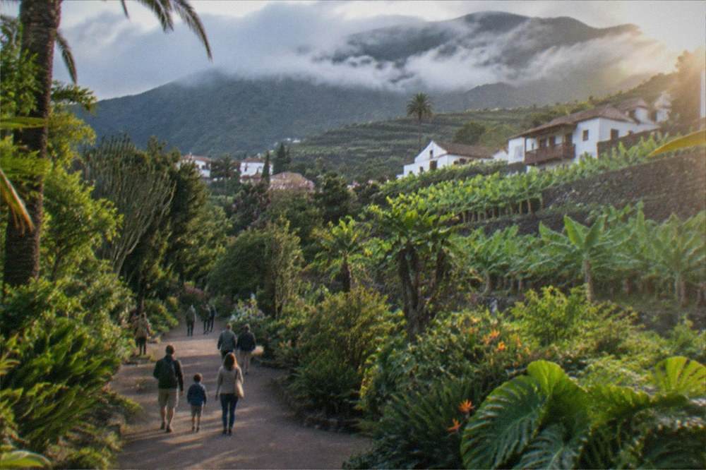 Families walking a wide garden path lined with tropical foliage