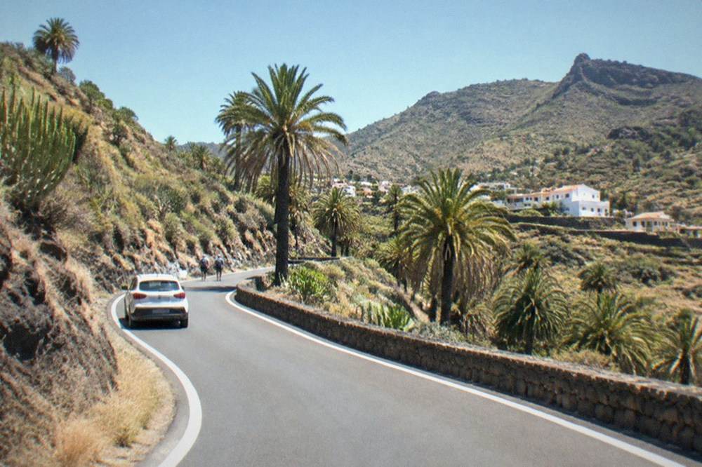 A winding road climbing through a green hillside landscape with palm trees in southern Tenerife