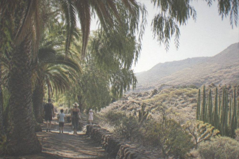 A family walking a shaded path beneath tall tropical trees and hanging foliage