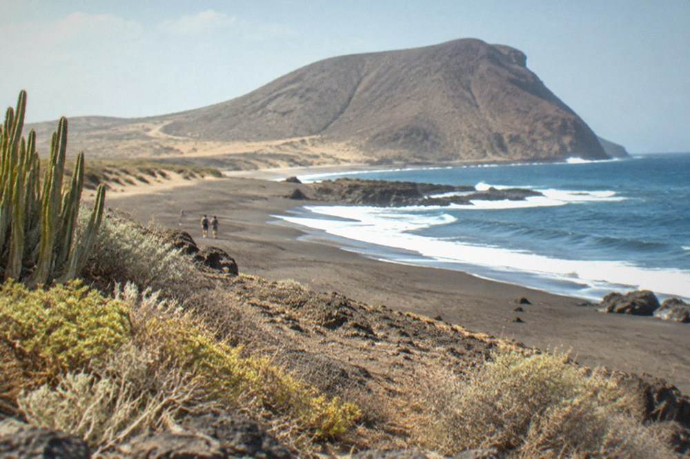 A wide empty beach with low dunes and grasses, no buildings in view