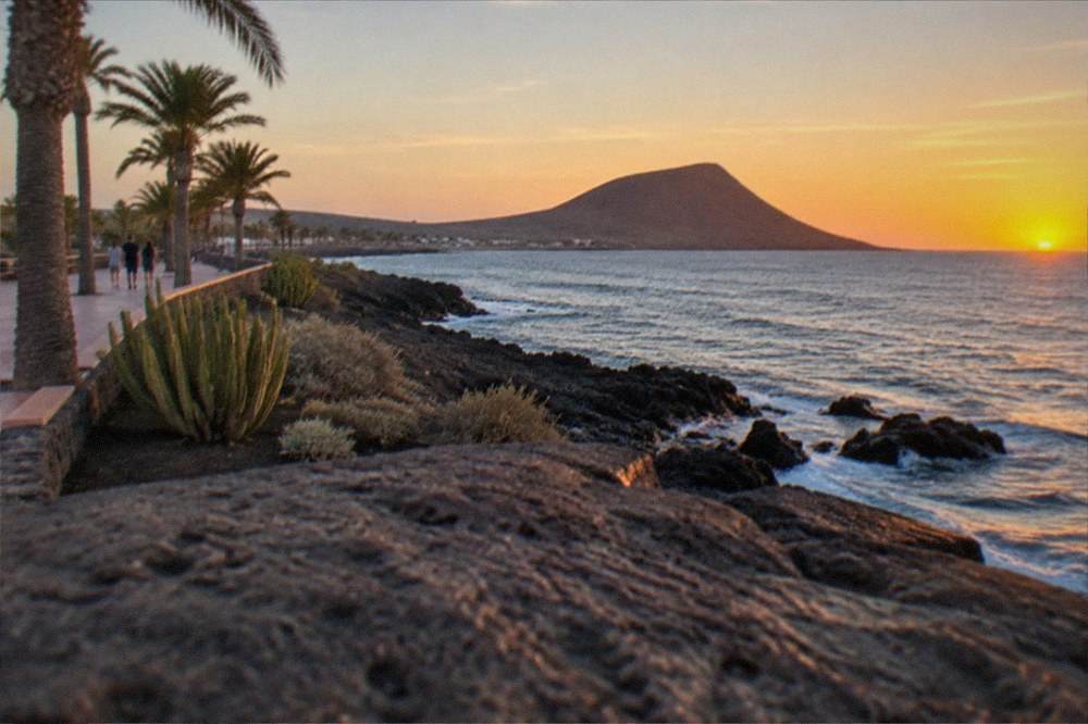 A small coastal town promenade at dusk with palm trees and calm water