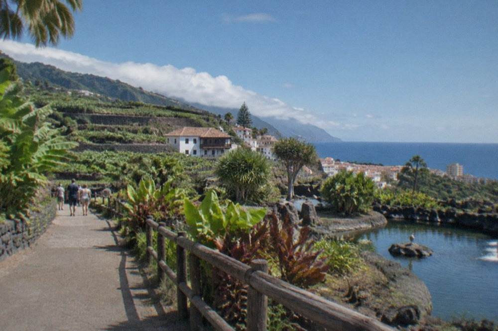 Tropical planting and walkways around the animal park in Puerto de la Cruz under a bright sky