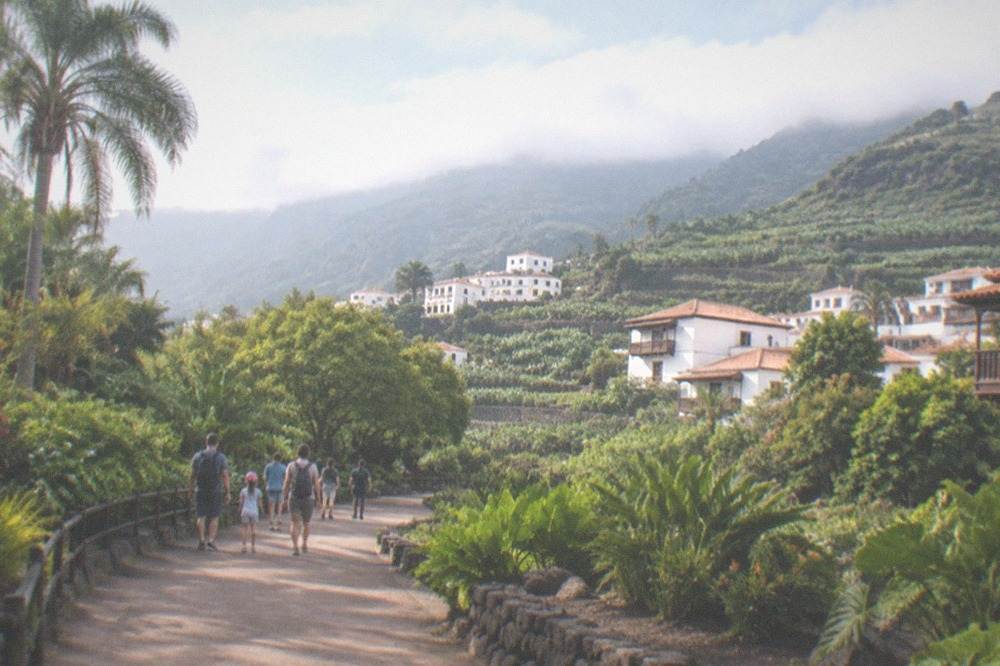 Families walking a shaded path between planted gardens in the animal park
