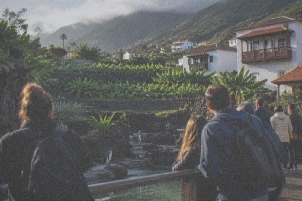 Crowd of visitors at a walkway railing watching an animal habitat