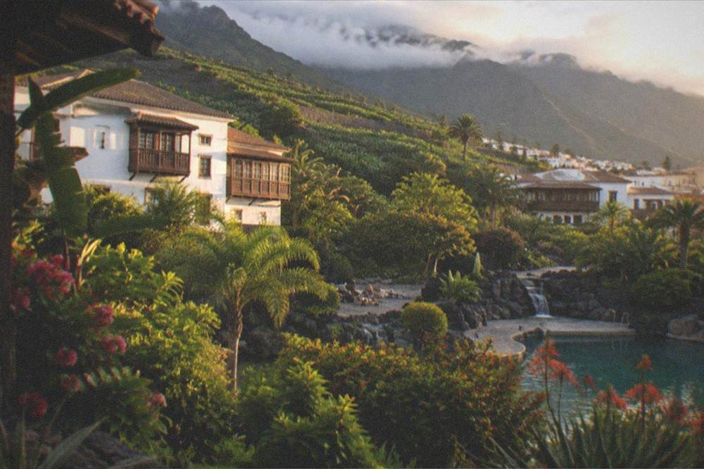 View across subtropical gardens toward a pool habitat with rocky surrounds