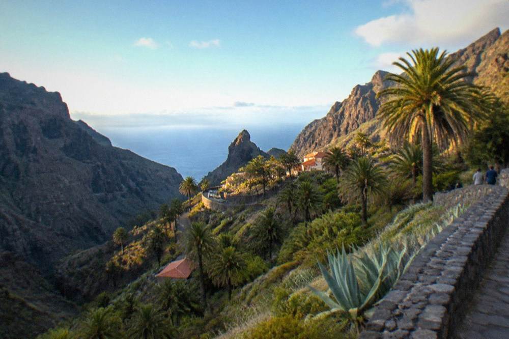 Palm trees and stone terraces on a steep ravine slope with rocky peaks behind