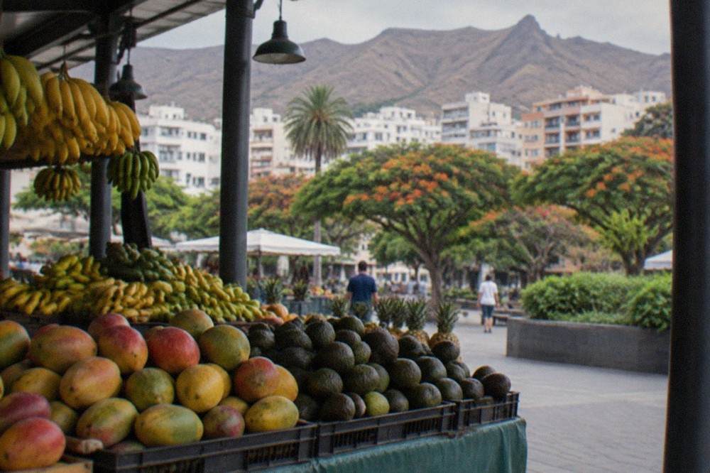 Close view of a market stall stacked with tropical fruit including bananas, mangoes and avocados