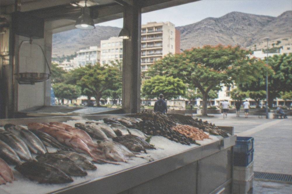 A fishmonger's counter with whole Atlantic fish and shellfish displayed on crushed ice