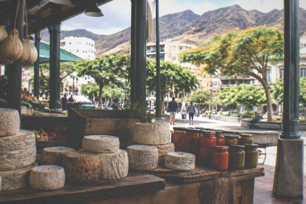 A cheese stall with rounds of goats cheese and jars of red and green mojo sauce on a wooden counter