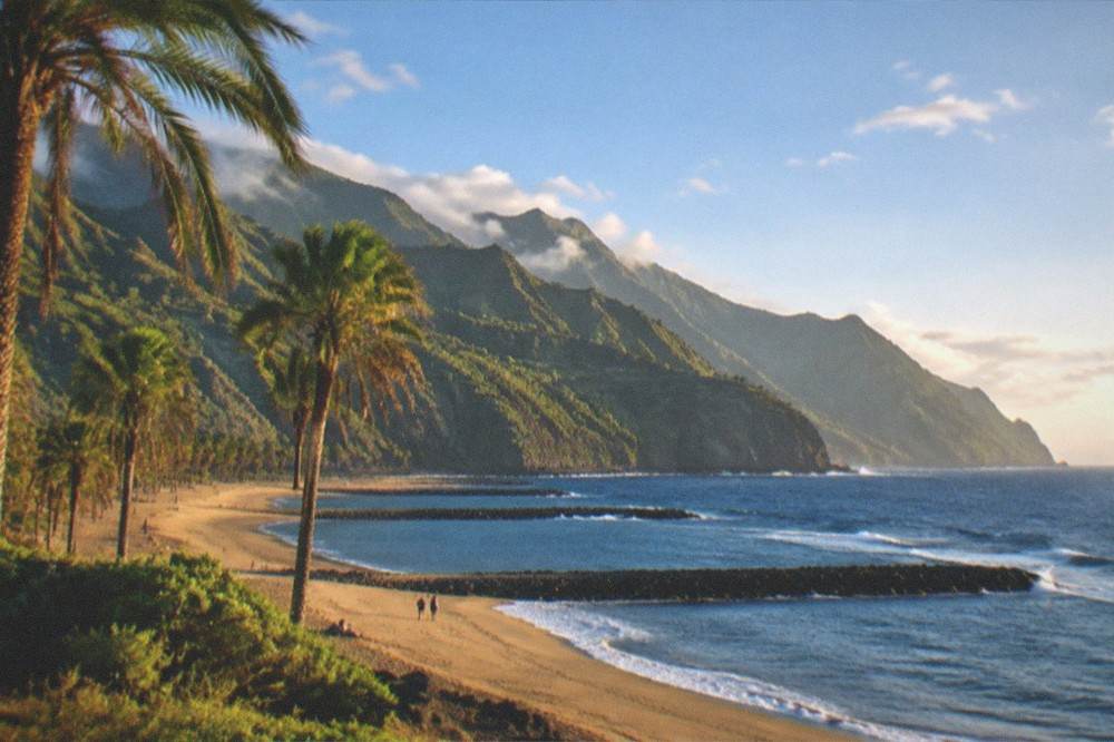 Palm trees and golden sand along the seafront at Playa de las Teresitas near Santa Cruz
