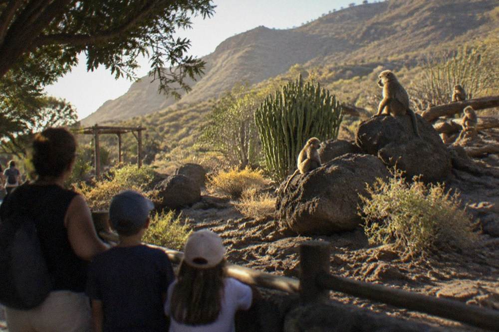 A family watching primates from a shaded path beside an enclosure