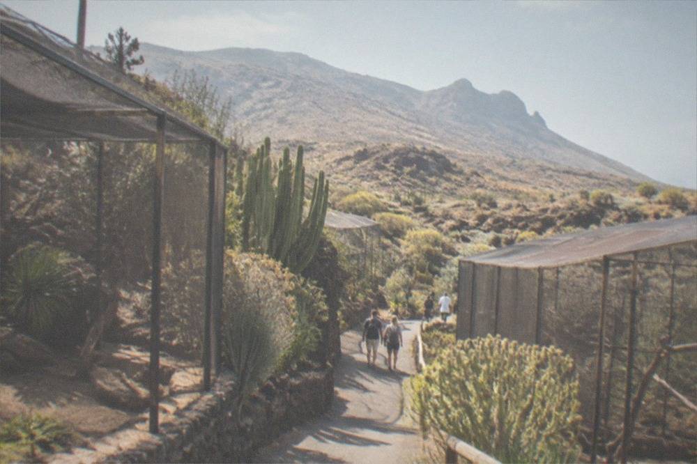 A shaded zoo garden path through dry-climate planting with netted walk-through enclosures either side
