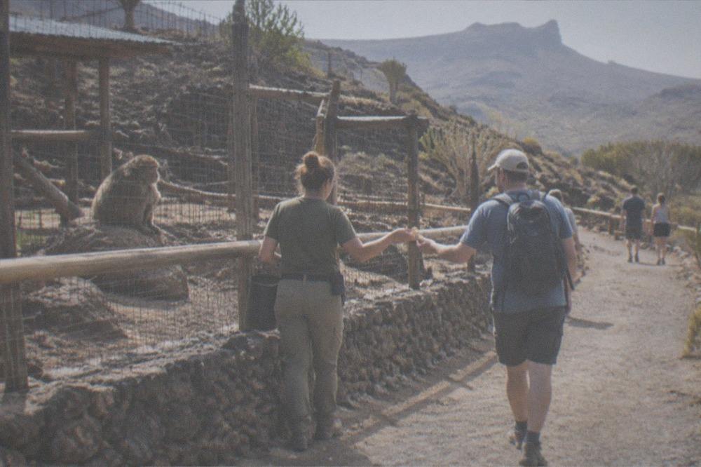 A keeper handing food to a visitor beside a primate enclosure