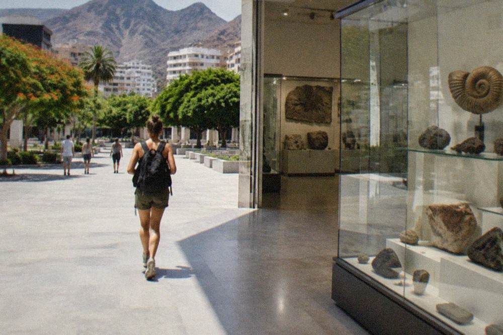 A bright museum gallery with glass display cases of Canary Islands fossils and rock specimens