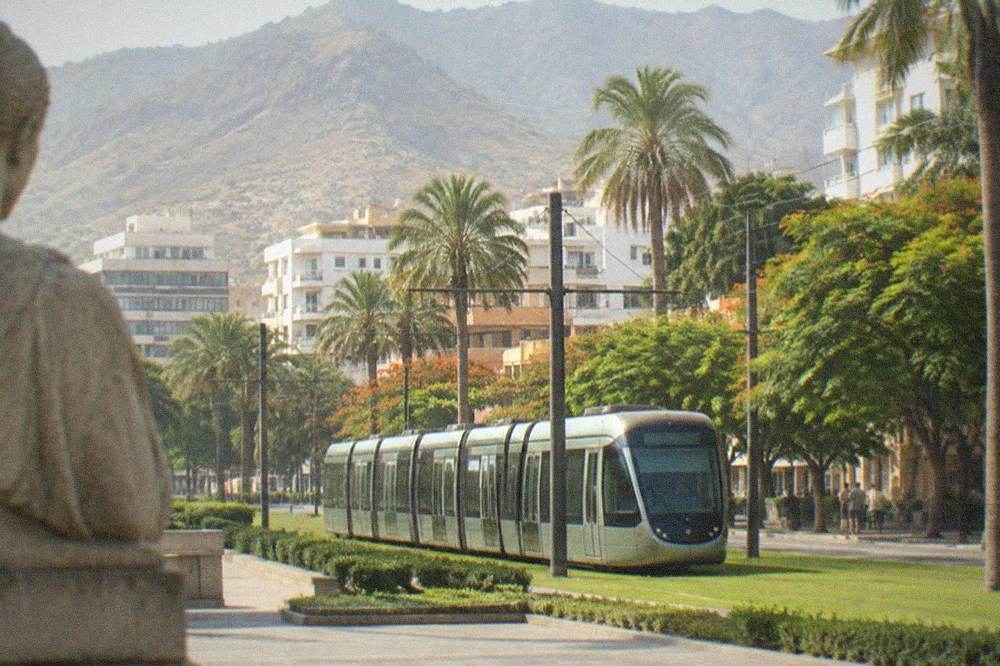 A tram of the Tenerife metropolitan network passing a palm-lined street in Santa Cruz