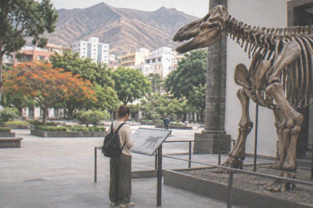 A visitor reading an information panel beside a reconstructed skeleton in a natural history gallery
