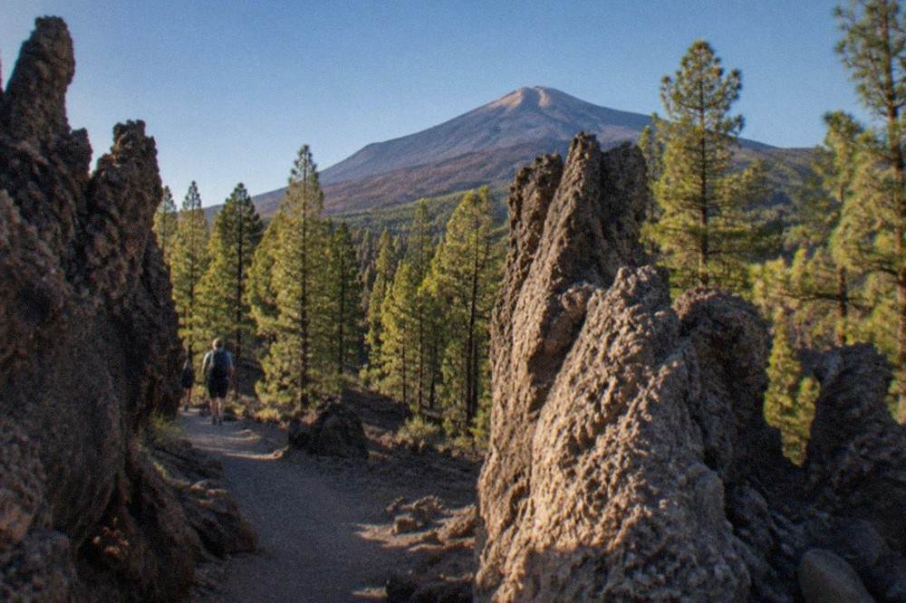 A narrow path winding between tall ash formations under a clear blue sky