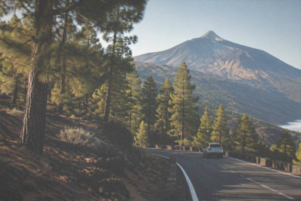 A mountain road climbing through pine forest toward the upper slopes of Teide