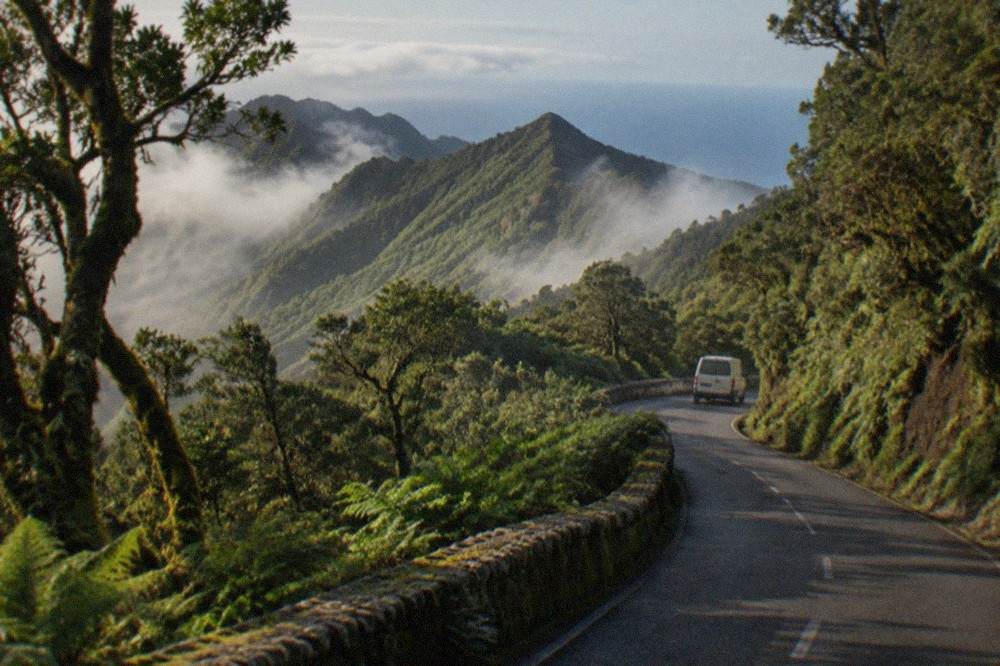 Narrow road winding through green Anaga mountains with mist over the ridges