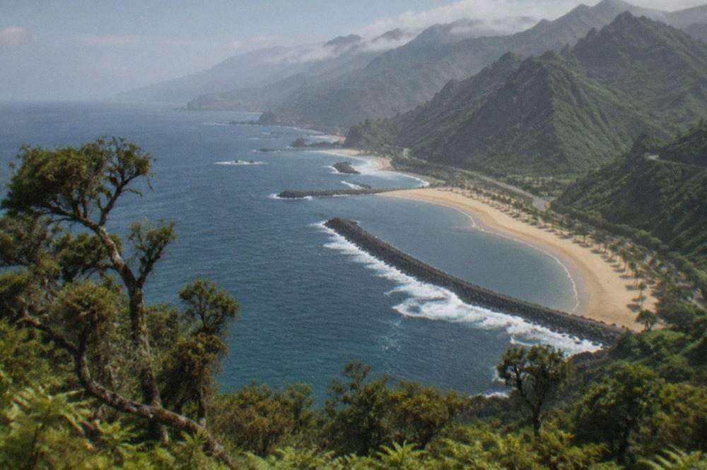 A long golden-sand beach lined with palm trees and sheltered by stone breakwaters under a blue sky