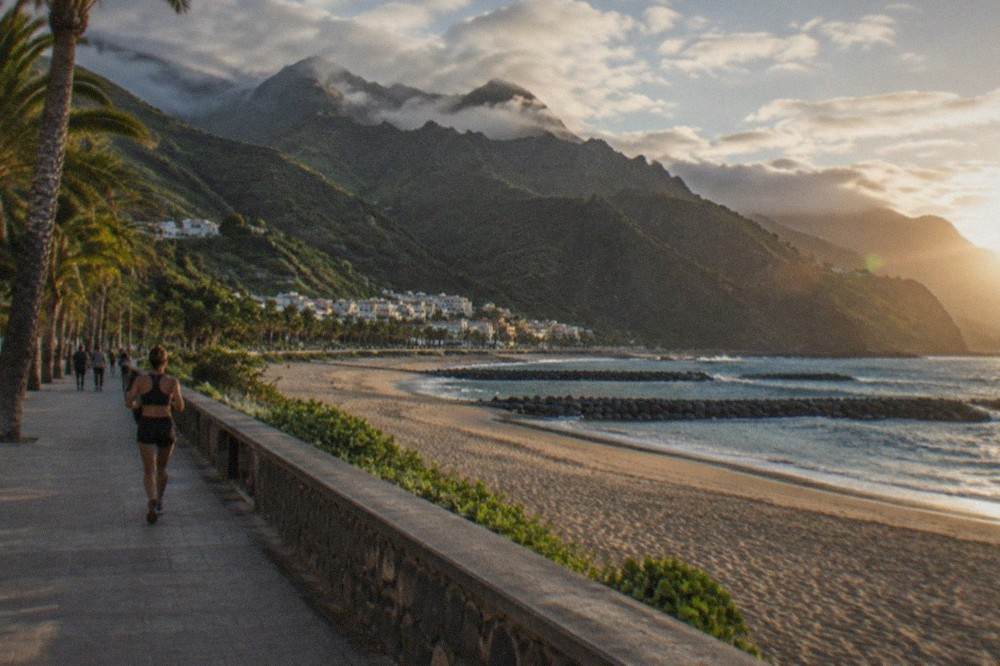 Palm trees along a beachfront promenade with dark hills rising behind a village