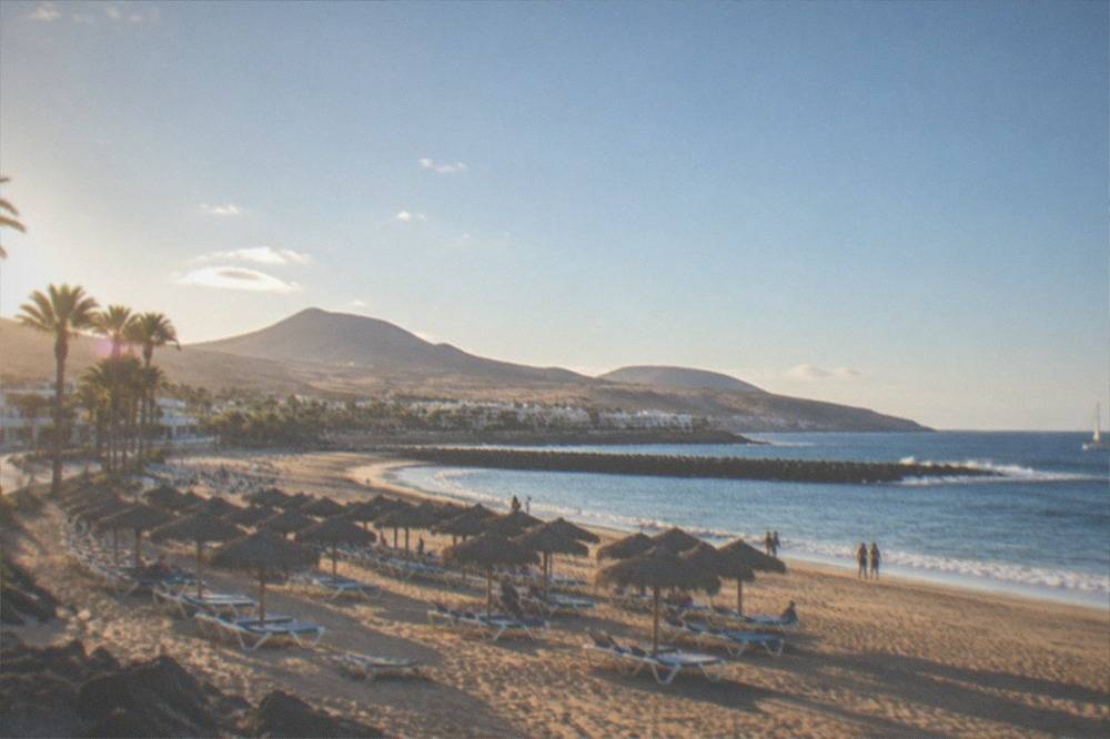 Sunbeds and parasols in rows on golden sand with palm trees and a promenade behind