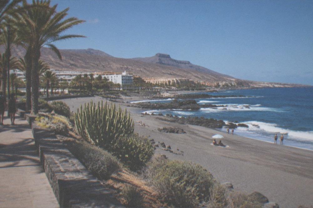 A beachfront promenade with palm trees and resort buildings along the shore