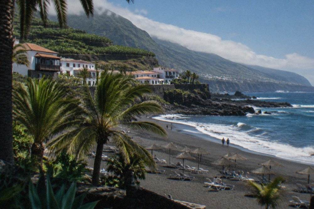 A dark volcanic sand beach with palm trees and sunbeds under a clear sky