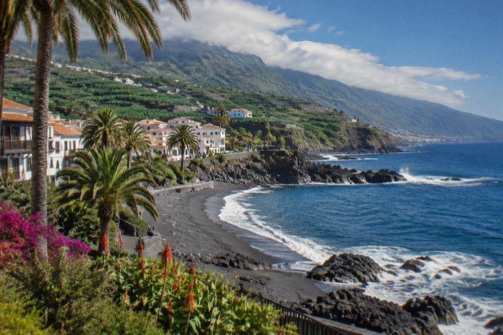 Palm trees and flowering gardens above a dark sand shoreline
