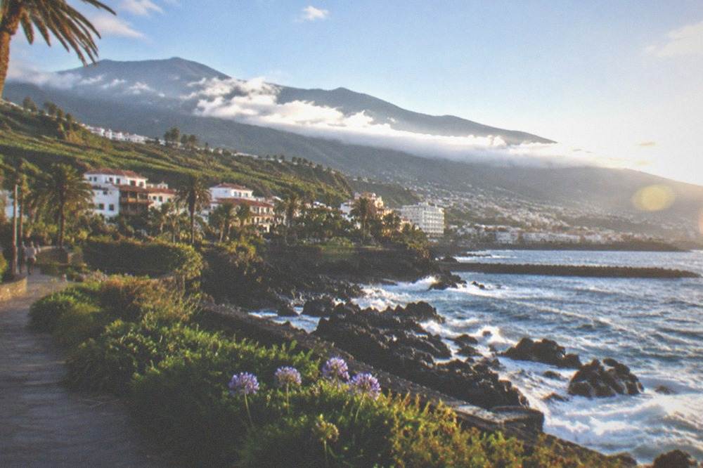 A seafront promenade with gardens and the town of Puerto de la Cruz behind